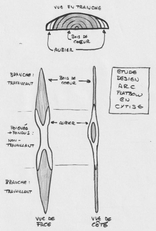 Etude design flatbow cytise.jpeg